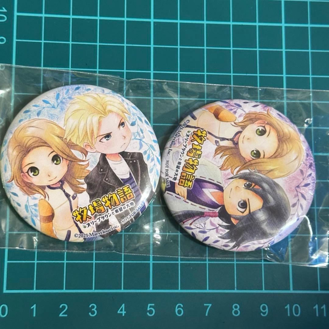 牧場物語 オリーブタウンと希望の大地　ステラワークス　購入特典缶バッジ