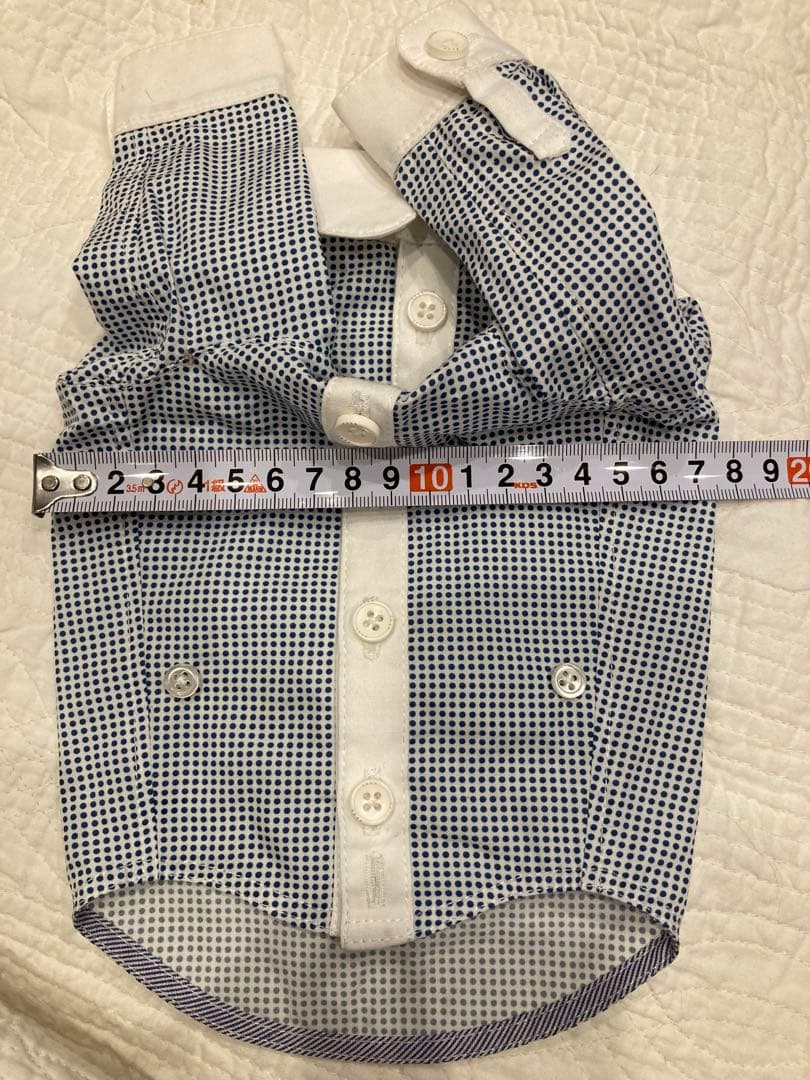 アトリエgg 正統派 白襟 シャツ