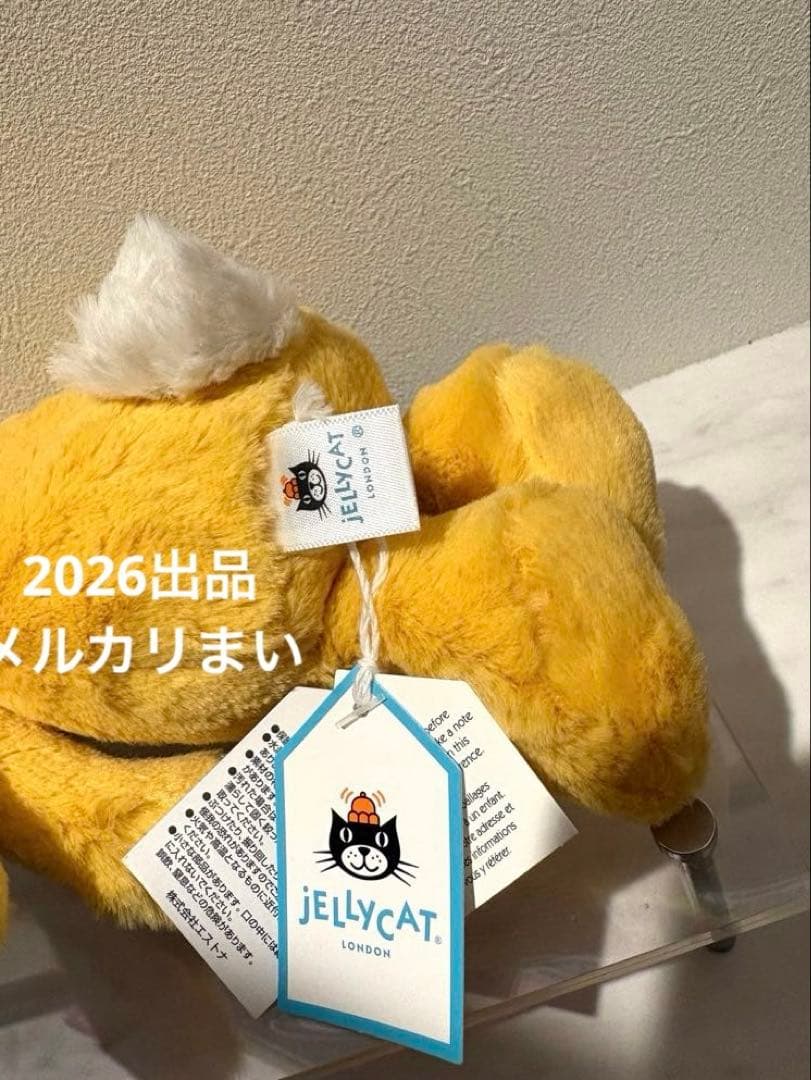  Little Bashful Sunshine Bunny 兎