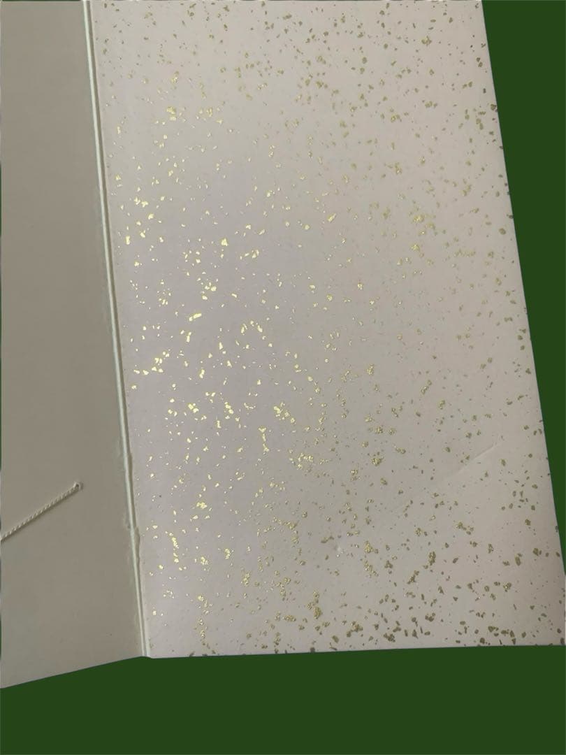 短冊帖 正絹織物表紙　折装14枚差し 未使用品