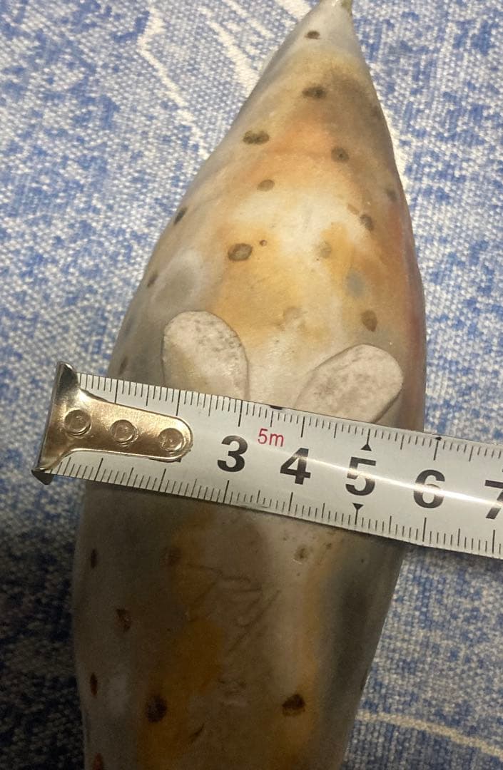 ジャンク品 詳細不明 鳥の置物 陶器