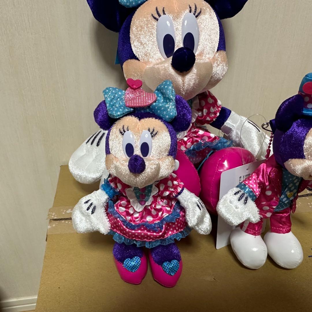 ミニー　ファンダーランド　2026 パルパルーザ　3点セット