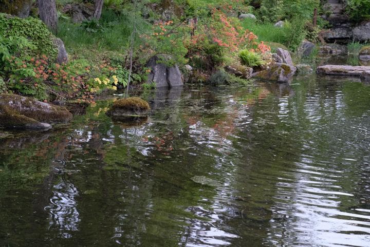 ライカ　ズミクロン　Leica SUMMICRON 50mm f/2 2nd