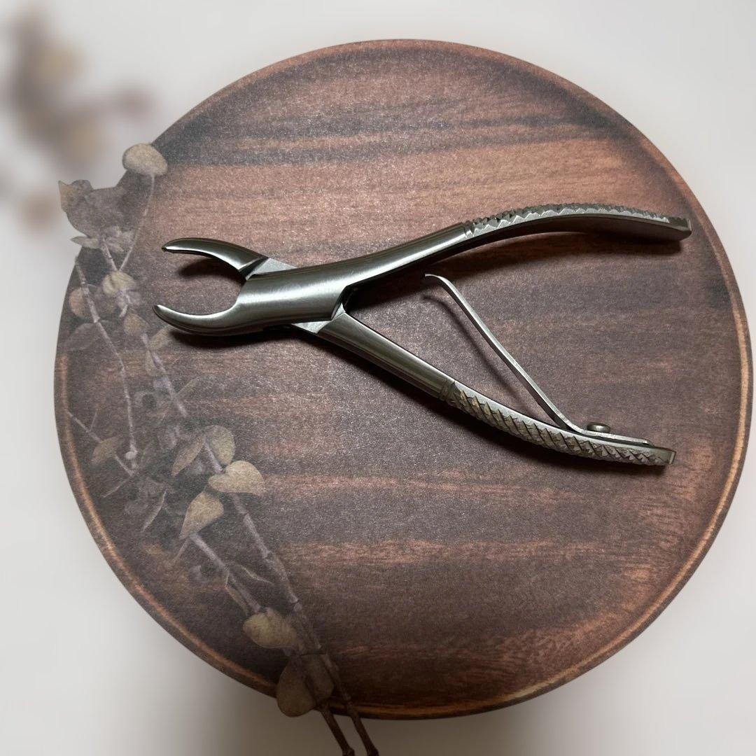 犬用 歯石取りペンチ