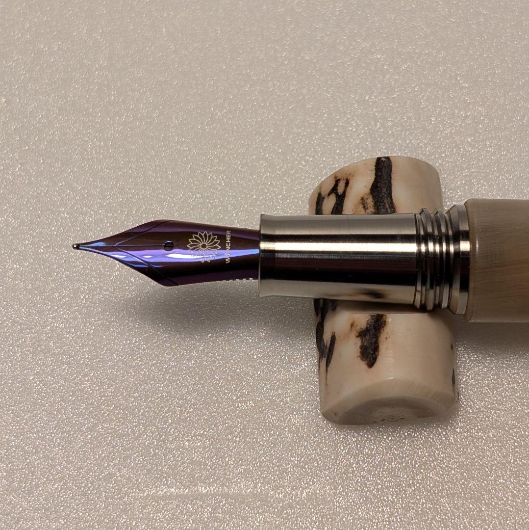 ワンチャー WANCHER ドリームペン 水牛 角 万年筆 日陰