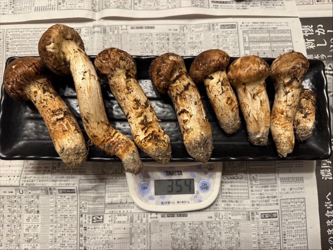 松茸　北海道　300g ②　国産