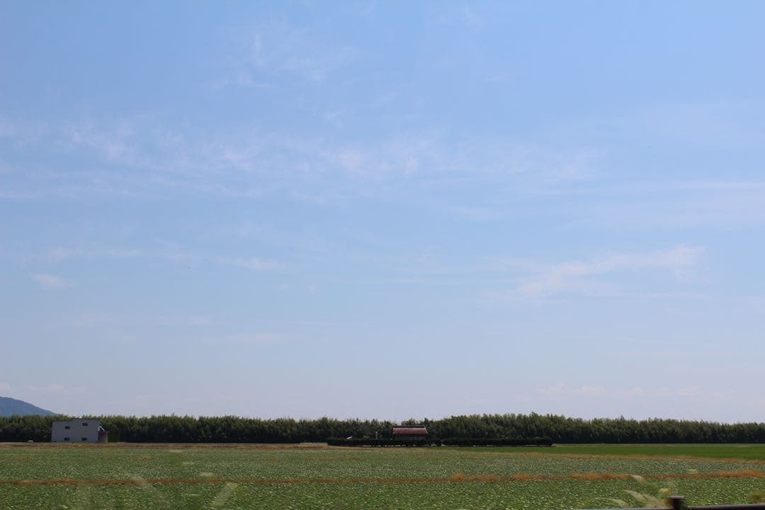 フィルムカメラ Canon EOS Kiss X5