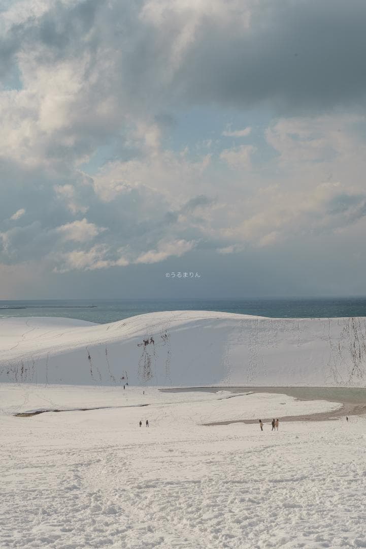 yu様　黄変なし光学美品！PENTAX Super-Takumar 55mm