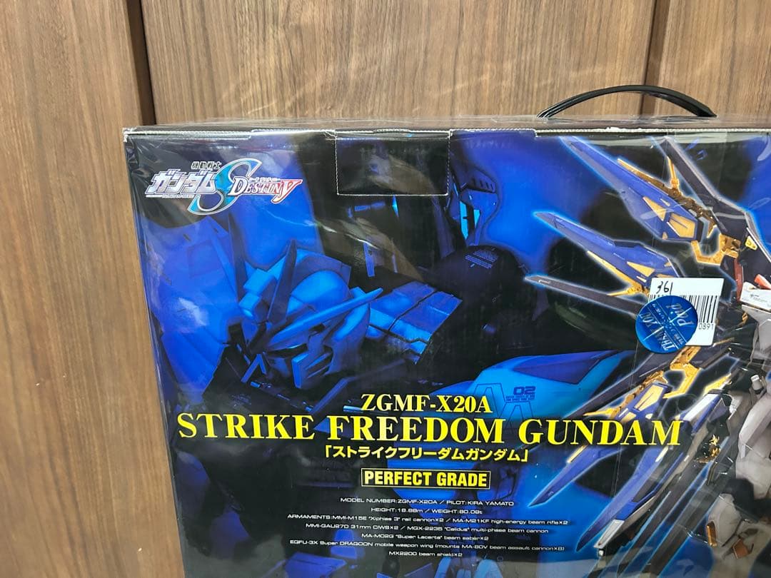 PG 1/60 ストライクフリーダムガンダム