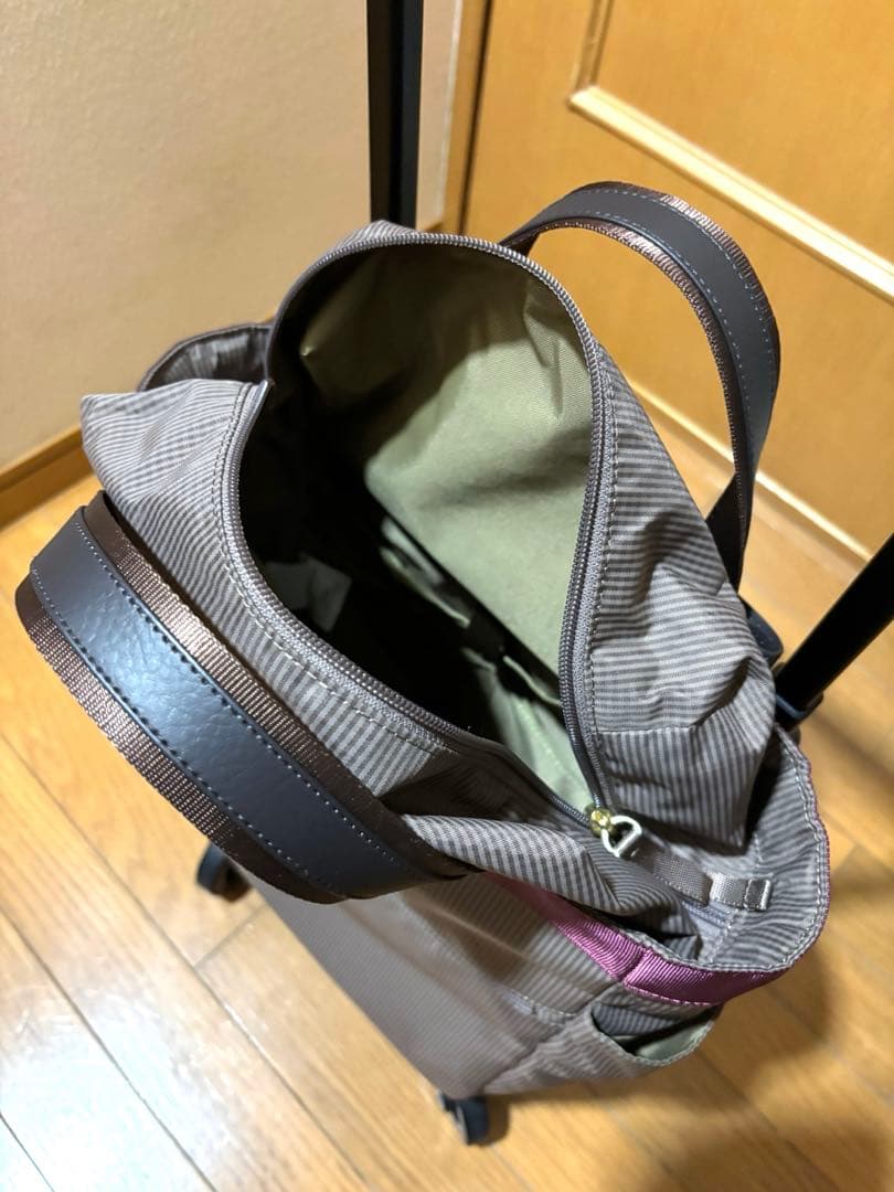 SWANY D640 Mサイズ　ルバンド　キャリーバック　グレージュ色