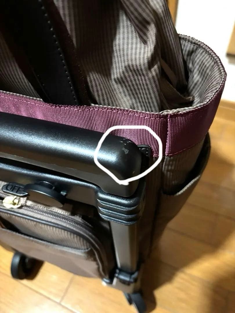 SWANY D640 Mサイズ　ルバンド　キャリーバック　グレージュ色