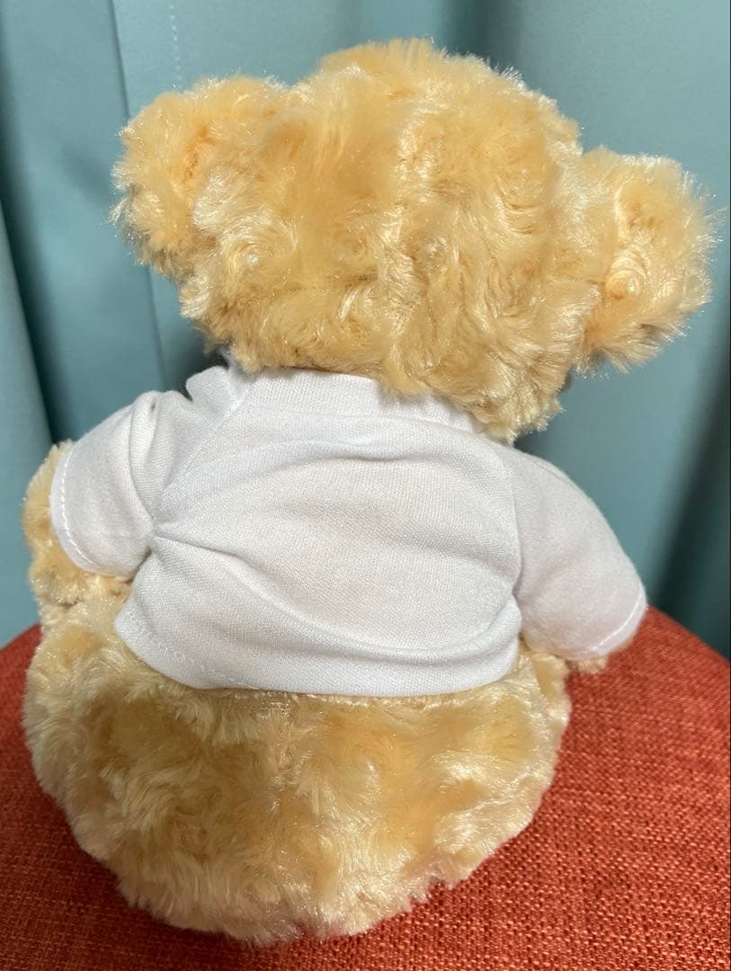 ミュージシャン YOASOBI WEMBLEY ARENA LIVE Teddy Bear