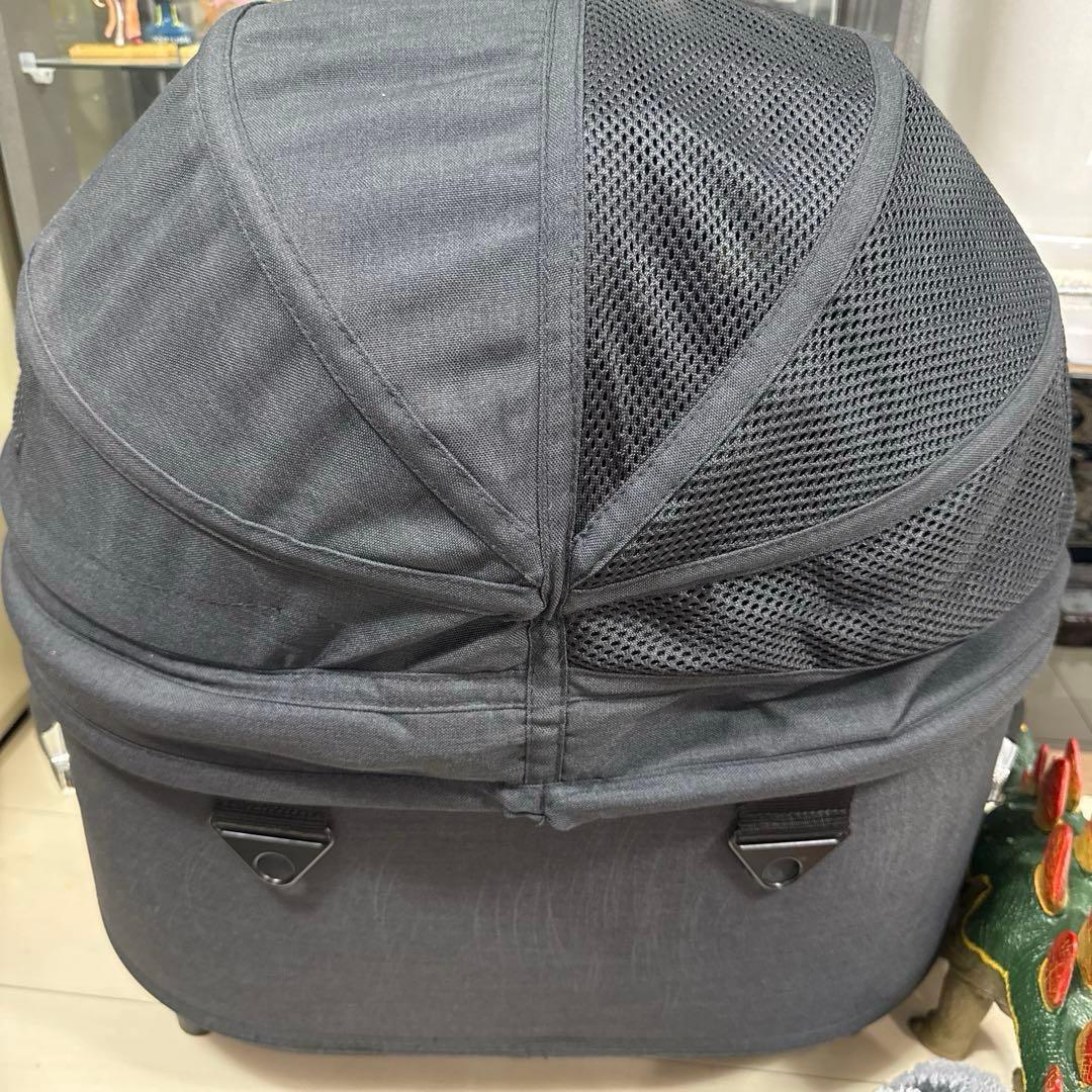 sasa 　AIR BUGGY ドーム3レギュラーコット（単品）