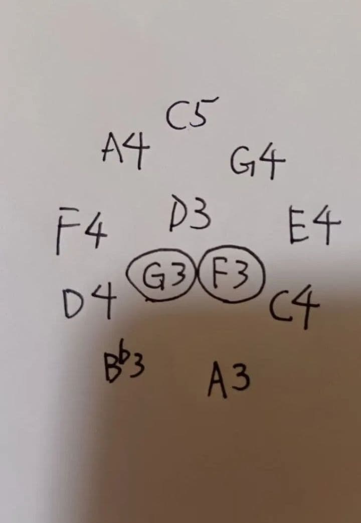 新品 19インチ 12音 ハンドパン 432hz スチールタングドラム 打楽器