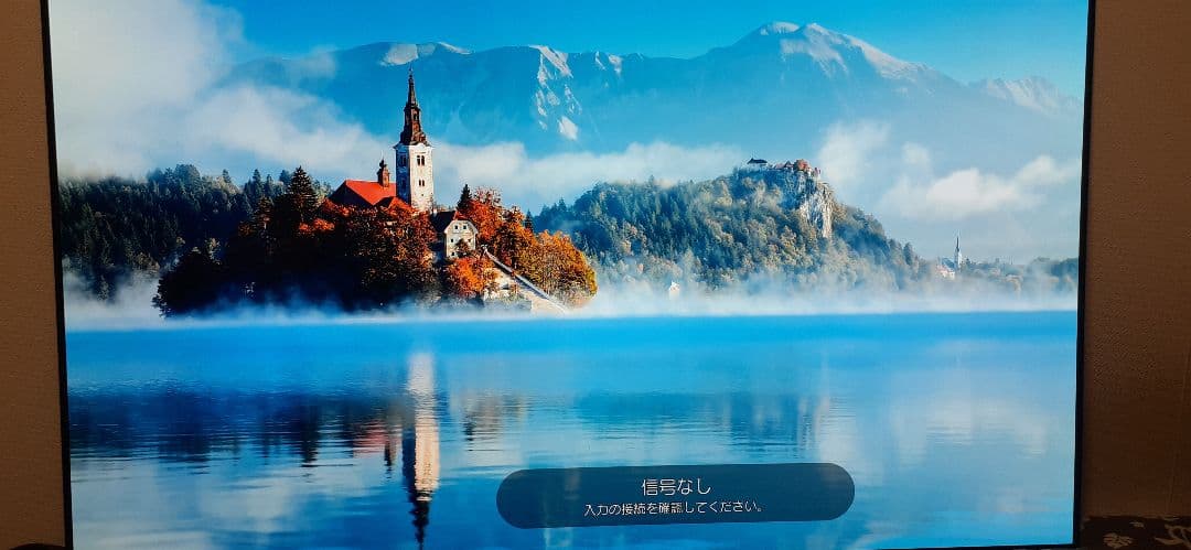 LG SIGNATURE OLED 65W7P 引き取り限定青梅市から。