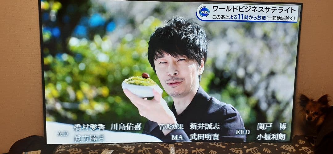 LG SIGNATURE OLED 65W7P 引き取り限定青梅市から。