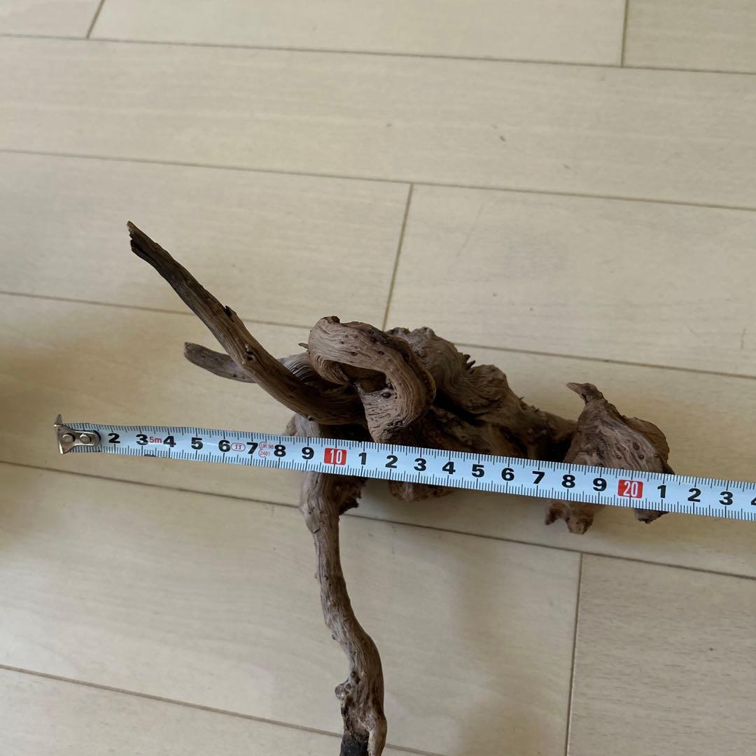 爬虫類飼育ケージ　ガラス製の飼育ケージ、メッシュ蓋付き　流木のおまけ付き❗️