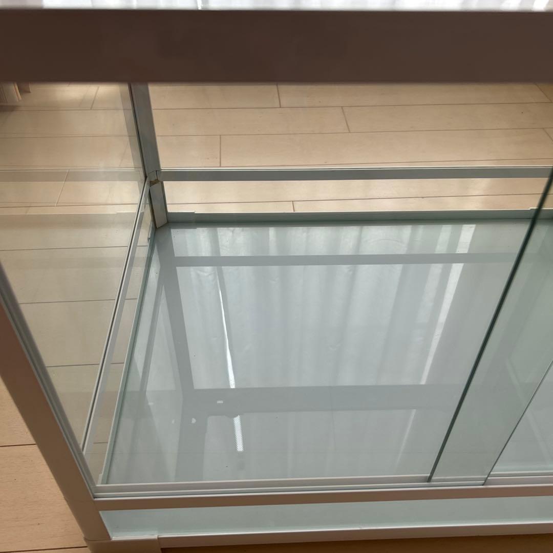 爬虫類飼育ケージ　ガラス製の飼育ケージ、メッシュ蓋付き　流木のおまけ付き❗️