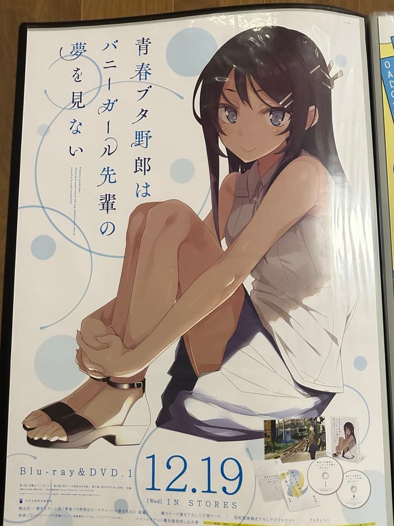 青春ブタ野郎はバニーガール先輩の夢を見ない　販促ポスター　B2