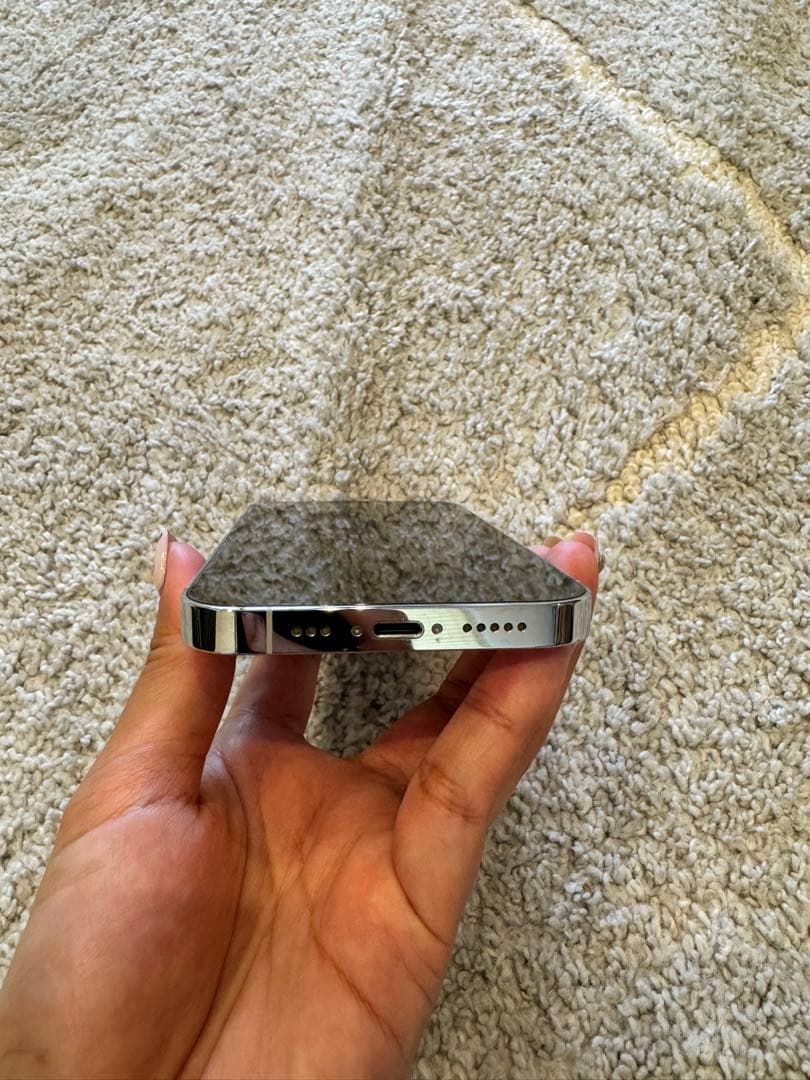 iPhone14Pro シルバー 本体 美品 ケースおまけ付き