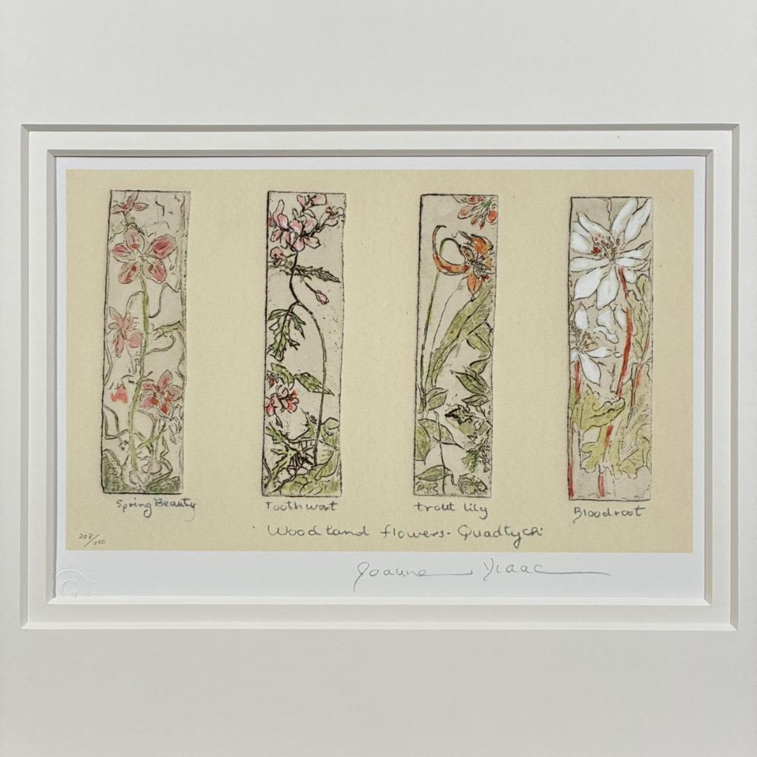 美品 ジョアン・アイザック「Wood～/森の花々」ジクレー 直筆サイン・保証書有