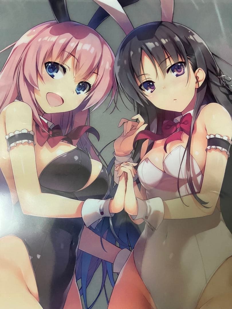 【非売品】ようこそ実力至上主義の教室へ A3 クリアポスター