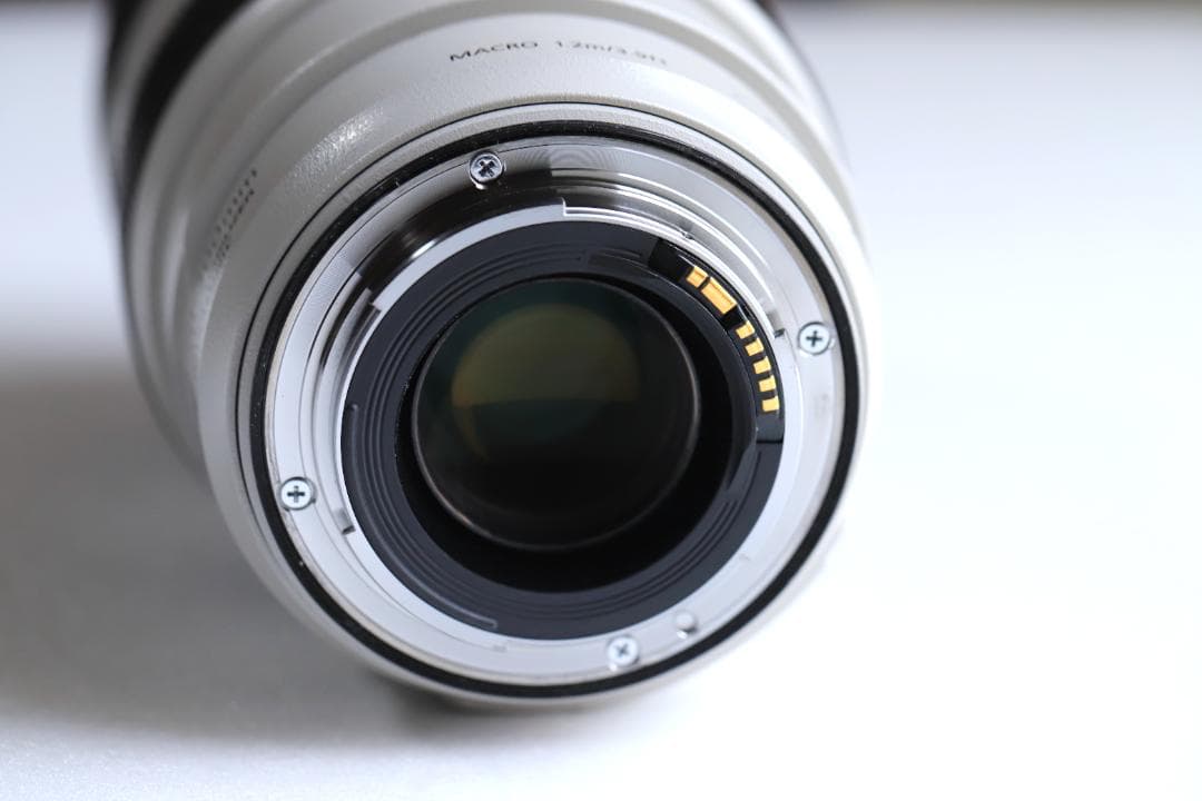 キヤノンレンズ　EF70-300ｍｍＦ4-5.6Ｌ ＩＳ ＵＳＭ