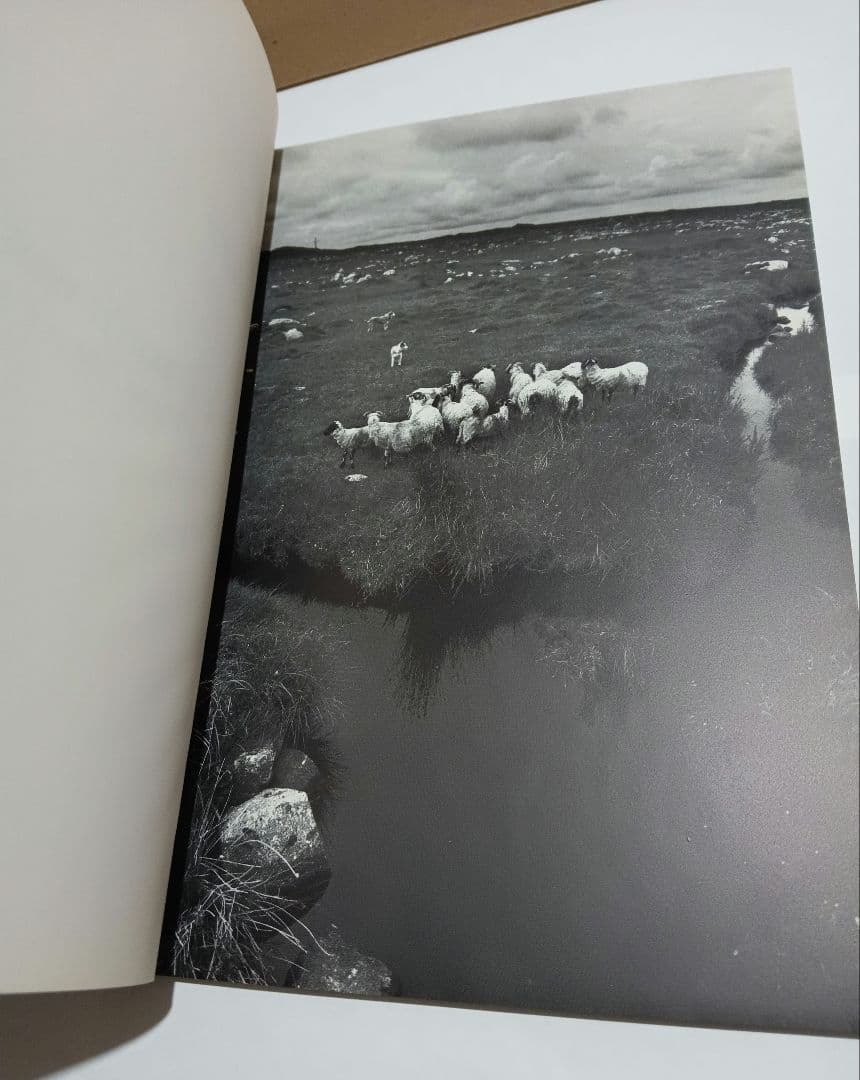 Y's,Y'sフォーメンヨウジヤマモト 1993-1994コレクションカタログ