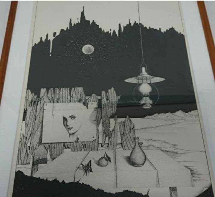 Tanaka 筆 エディション№ 71/100 額装 リトグラフ/絵画/版画/