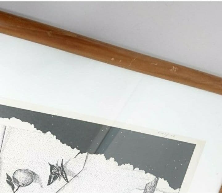 Tanaka 筆 エディション№ 71/100 額装 リトグラフ/絵画/版画/