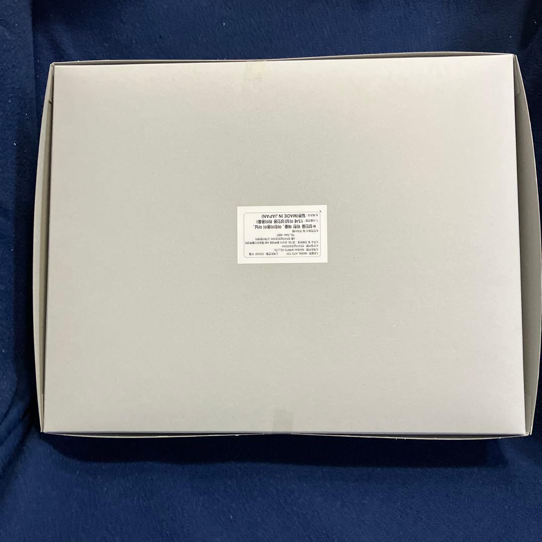 MGデスティニーガンダム　エクストリームブラストモード 送料込　メルカリ便