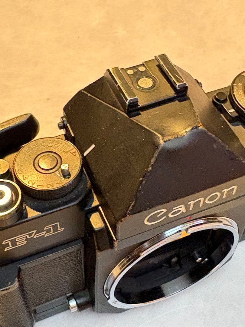 Canon New F-1 アイレベルファインダー　実用品　作例あり