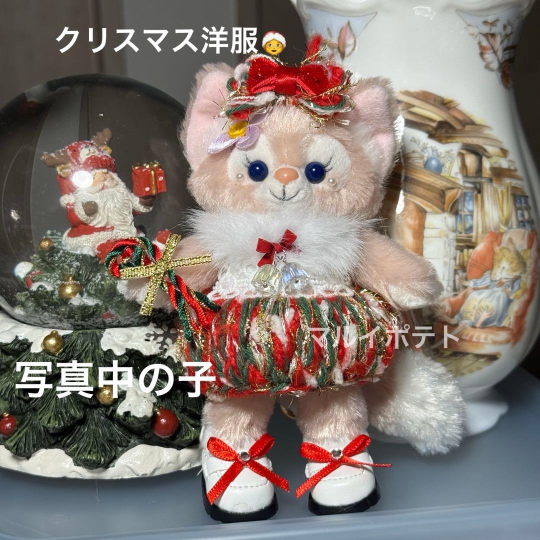 お顔厳選　リーナベルぬいぐるみキーチェーン➕コスチュームセット