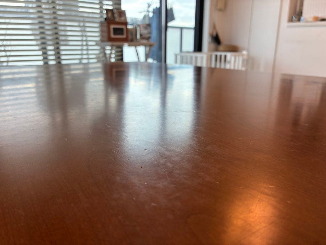 シンタロウ様　送料込み　カリガリス コヌビア マスコッティ テーブル