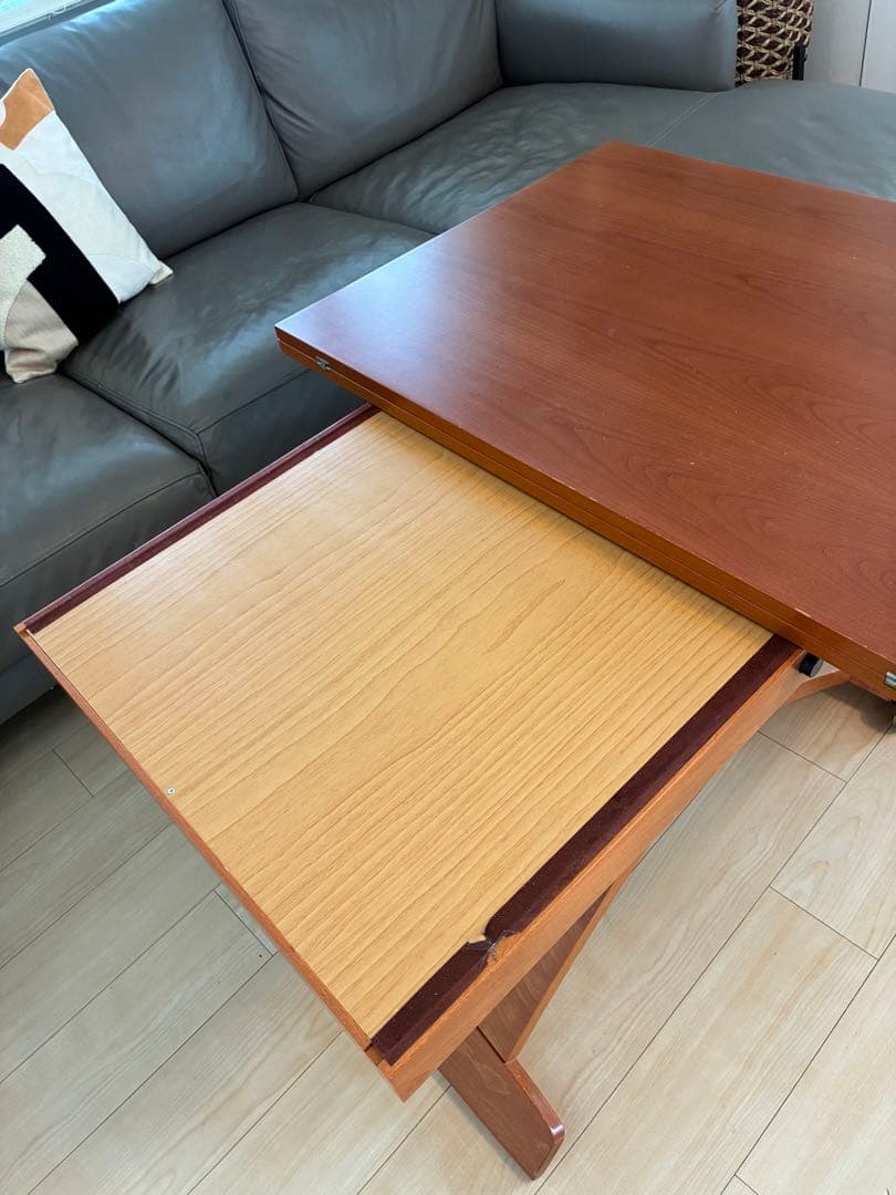 シンタロウ様　送料込み　カリガリス コヌビア マスコッティ テーブル