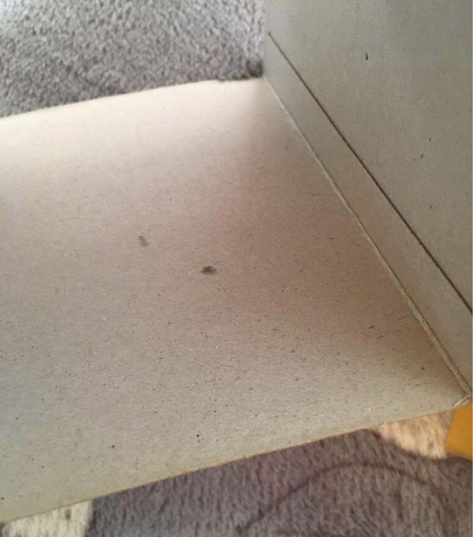 ご注文はうさぎですか?? ぴょんぴょんキャラうおっち　腕時計　シャロ　ウォッチ