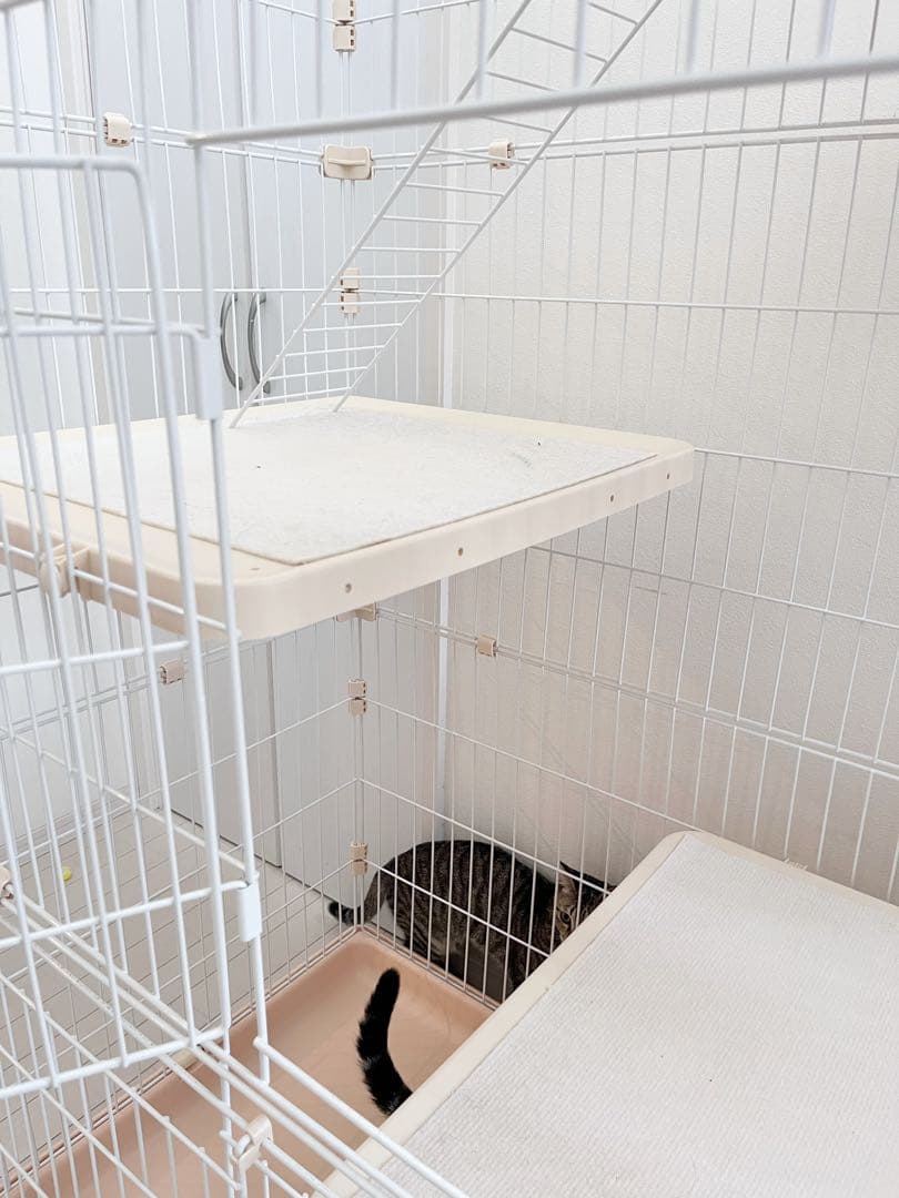 RAKU 猫 ケージ キャスター付