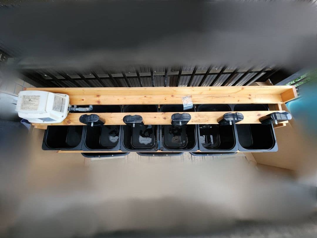 【送料込み】めだか　オーバーフロー型ブリード(育成)台　セット　メダカラック