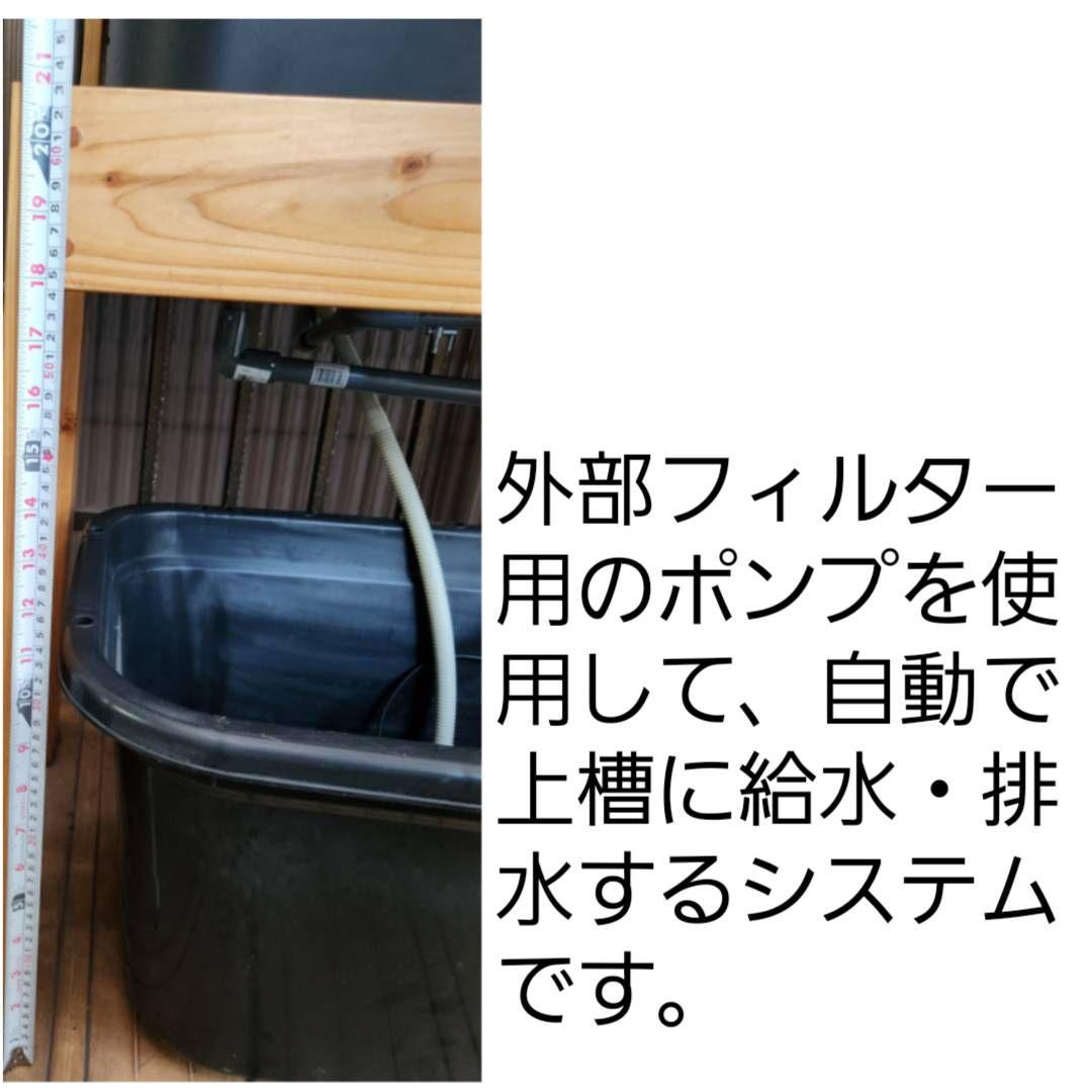 【送料込み】めだか　オーバーフロー型ブリード(育成)台　セット　メダカラック