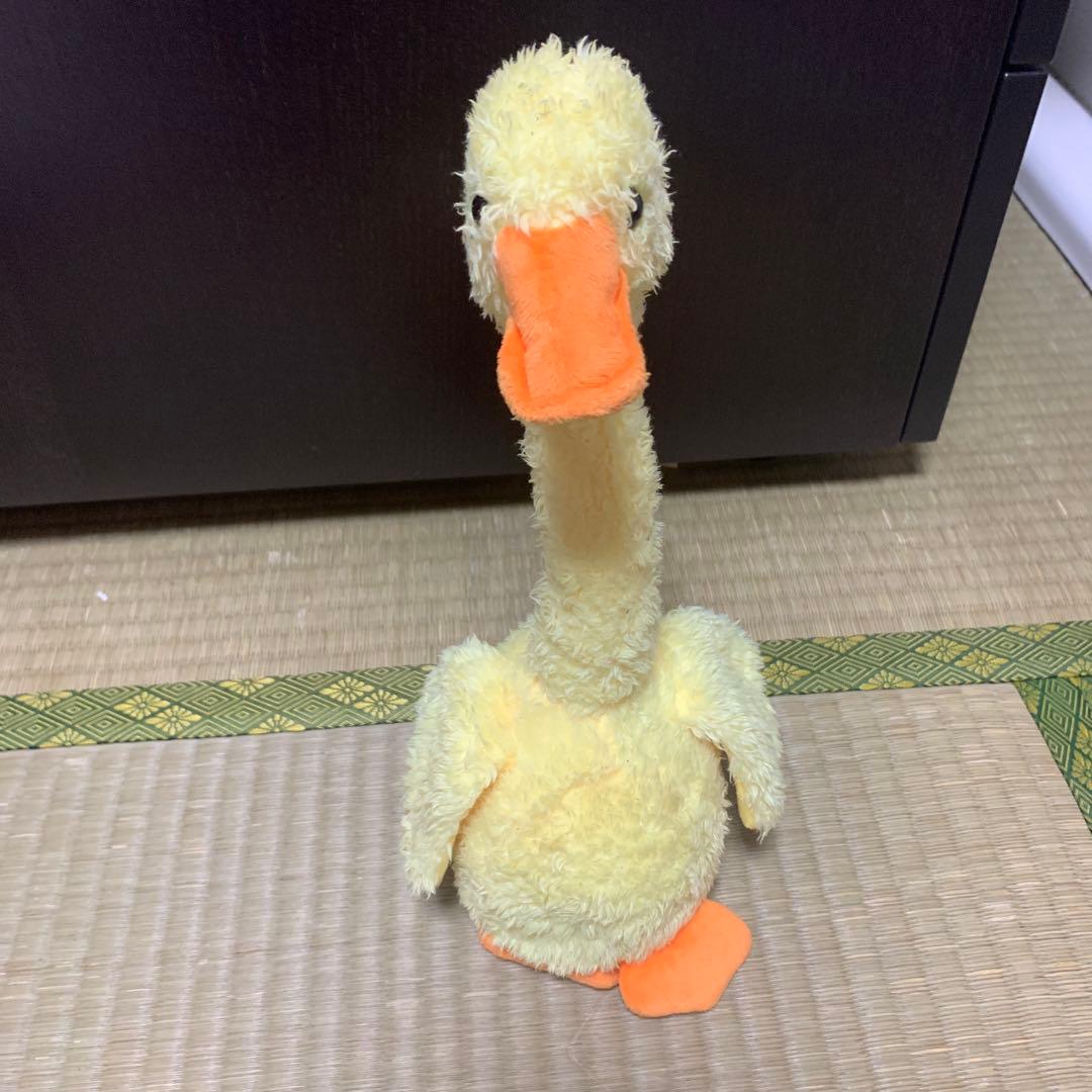 アヒルのぬいぐるみ