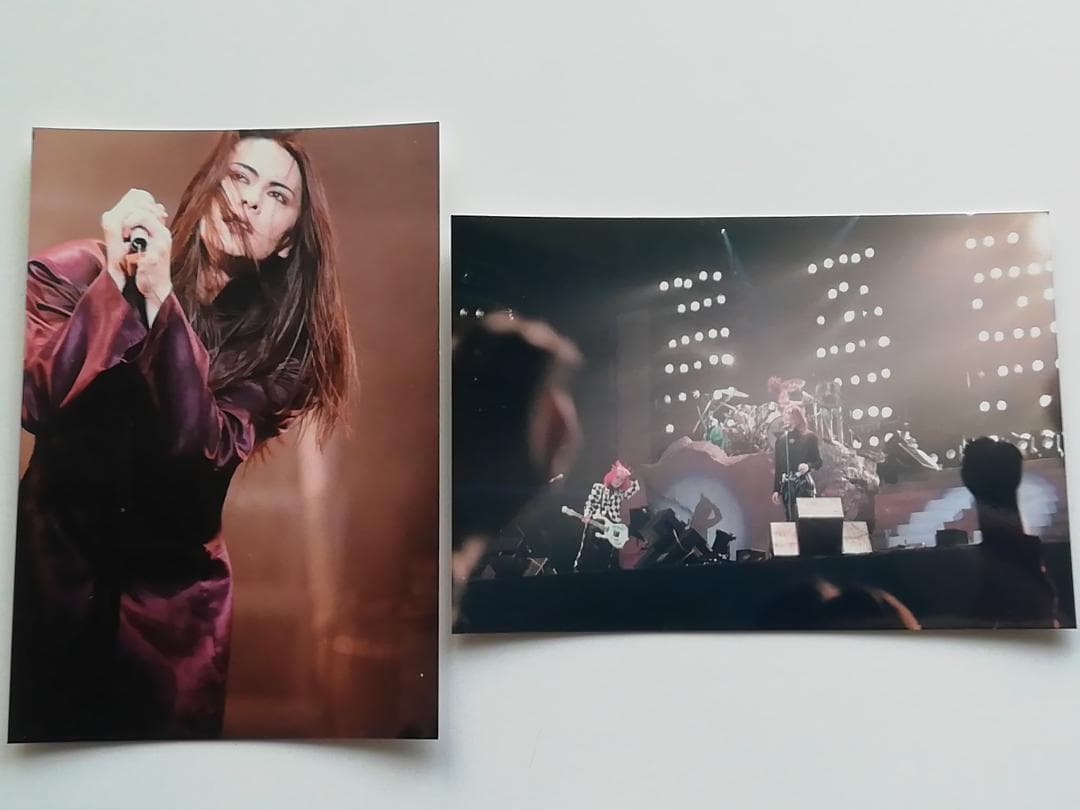 ◆BUCK-TICK バクチク 櫻井敦司 生写真 e◆