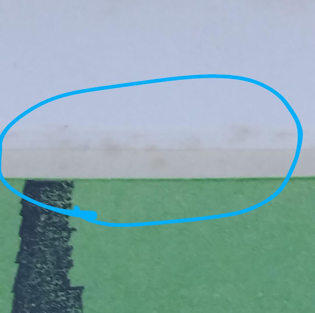 城所祥 版画 「 green shadow 」 ED：10/30