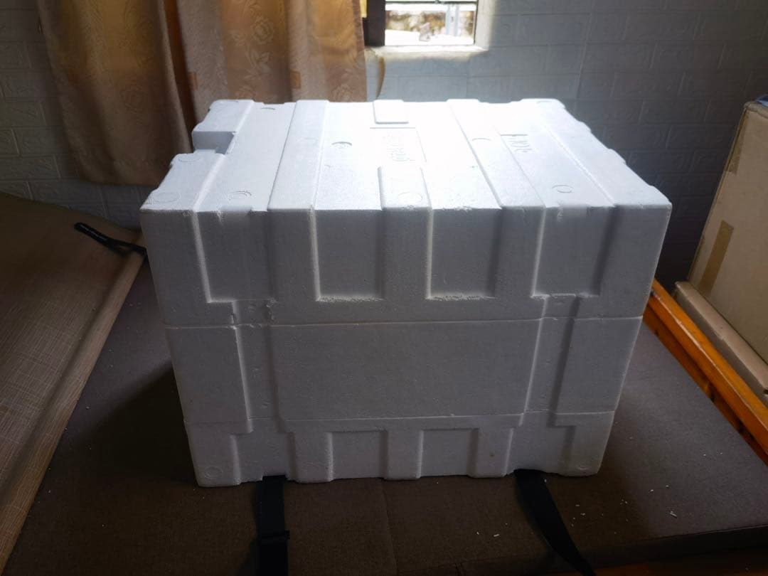 デジモン GD-STUDIO グレイモン ティラノサウルスの進化 フィギュア