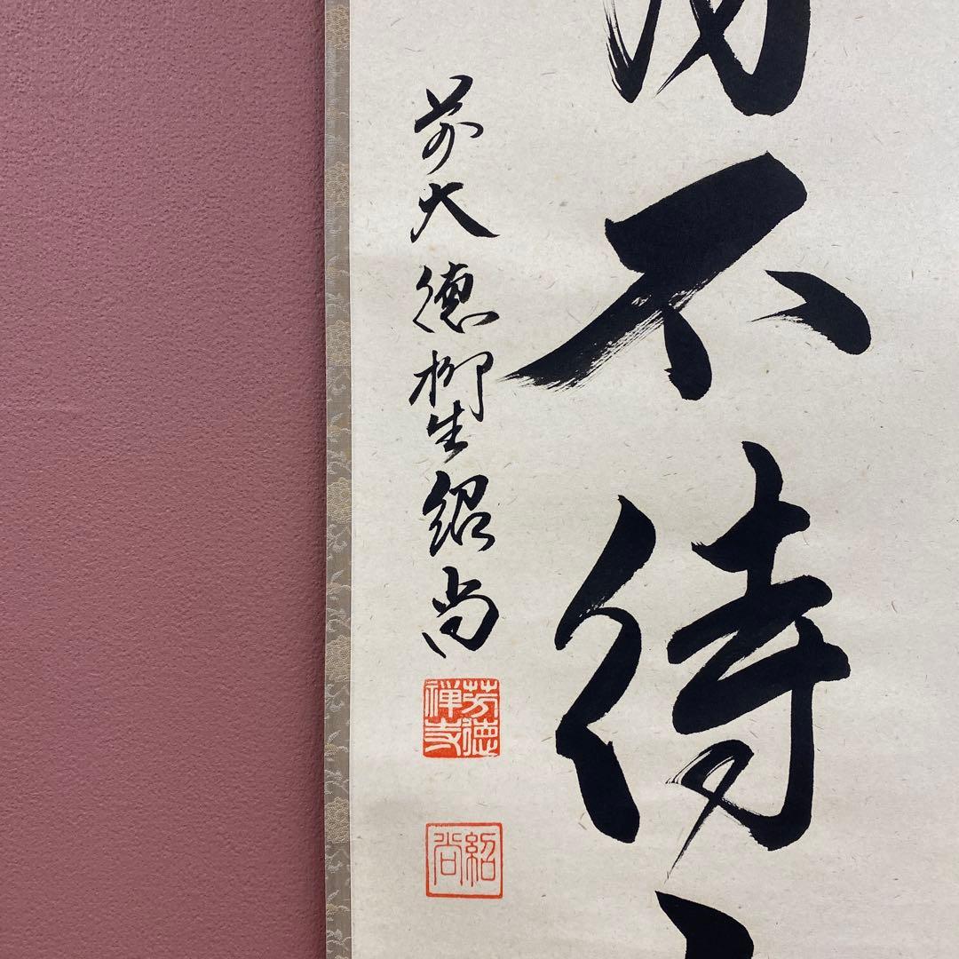 美品 掛け軸 橋本紹尚作「歳月不待人」前大徳 柳生寺 共箱 禅語 茶掛け
