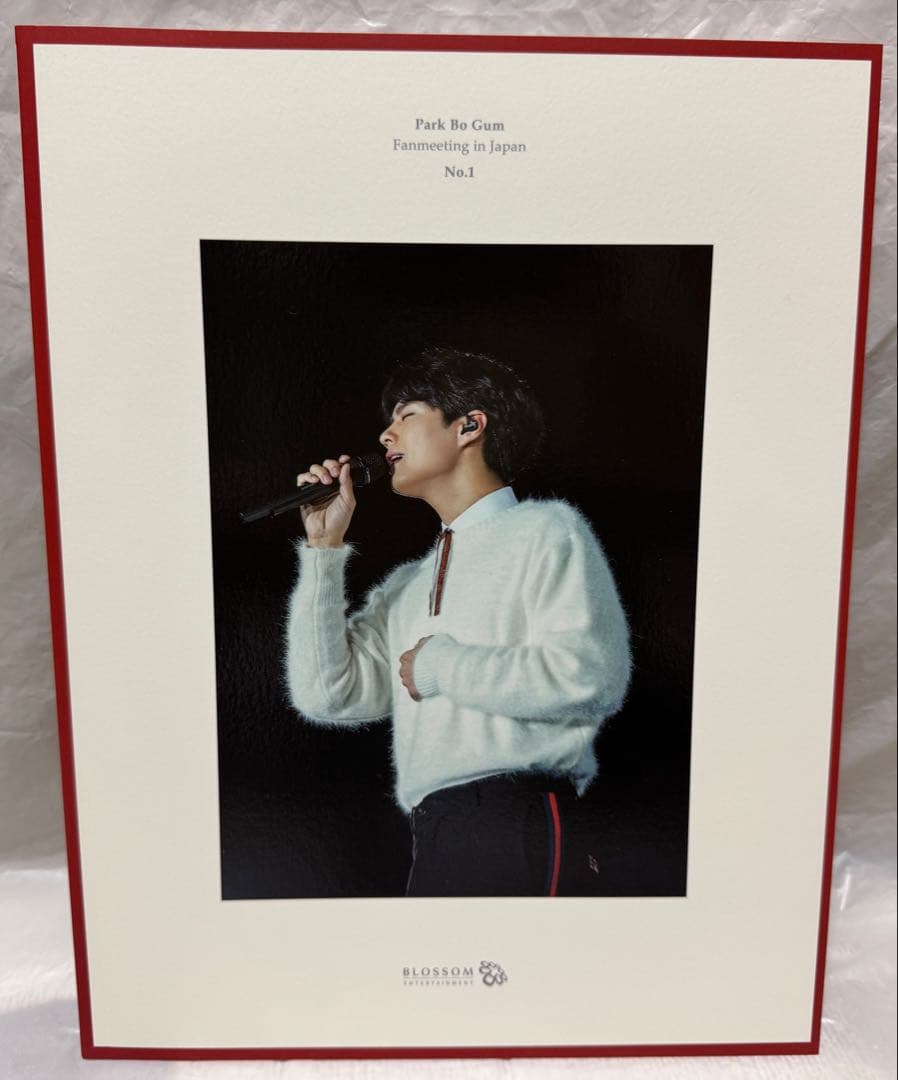 パクボゴム 2017年 ファンミーティング Japan DVD クリスマスイブ