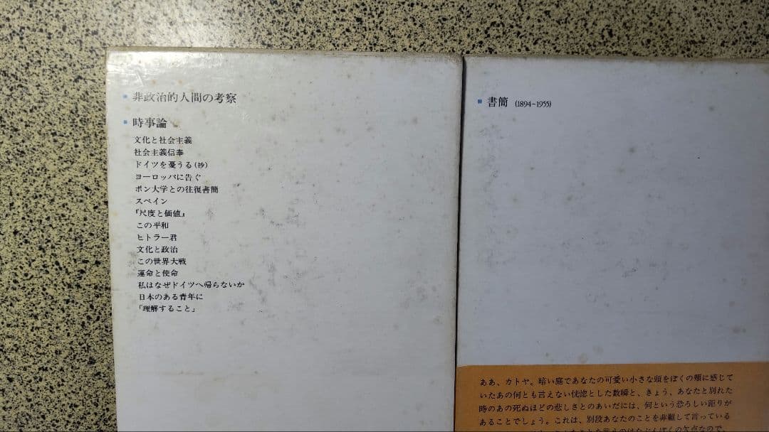 トーマス・マン全集/全13冊セット/書き込みなし/防水梱包