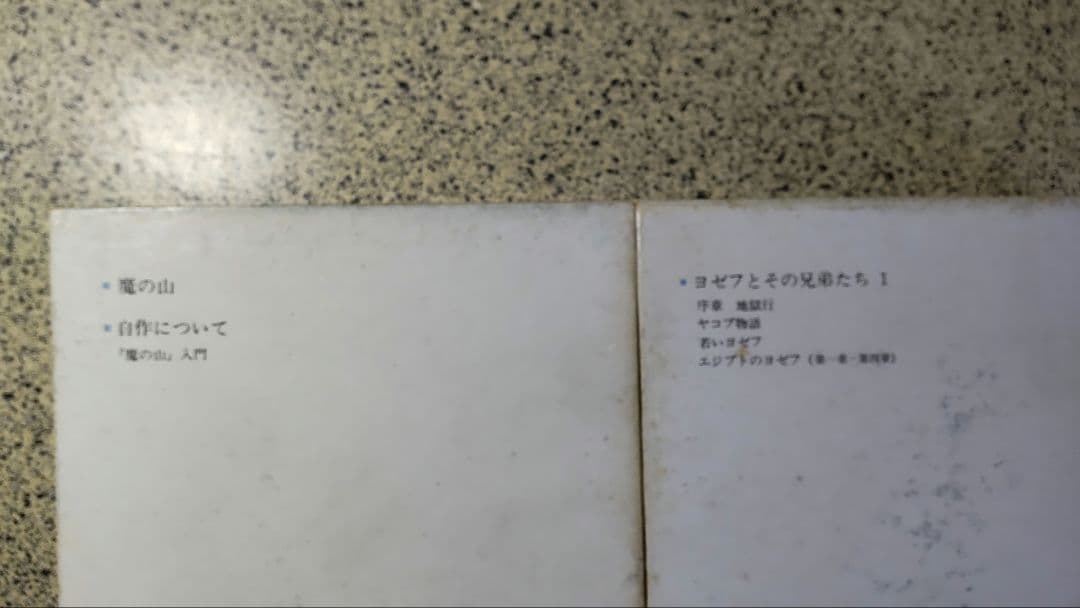 トーマス・マン全集/全13冊セット/書き込みなし/防水梱包