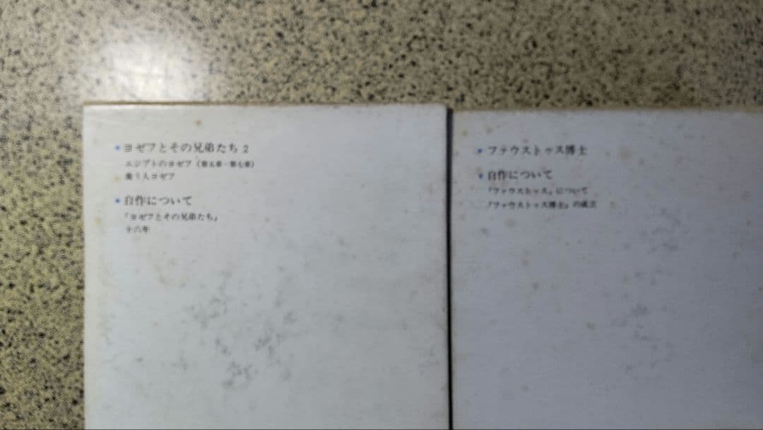 トーマス・マン全集/全13冊セット/書き込みなし/防水梱包