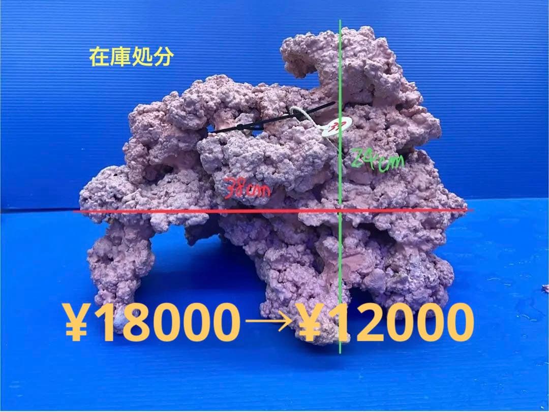 人工ライブロック　No.39. 無害化処理済