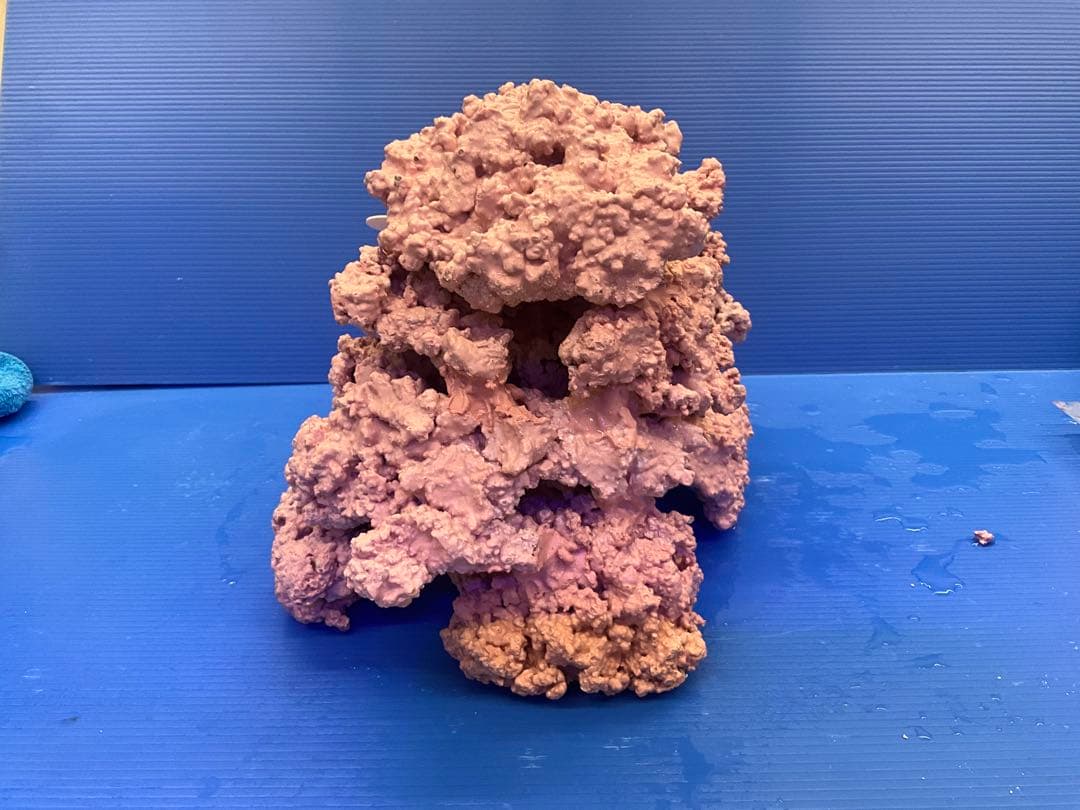 人工ライブロック　No.39. 無害化処理済